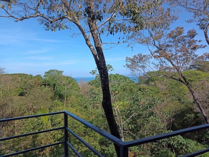 Laurel Jungle & Ocean Villa Playa Santa Teresa  Kültér fotó